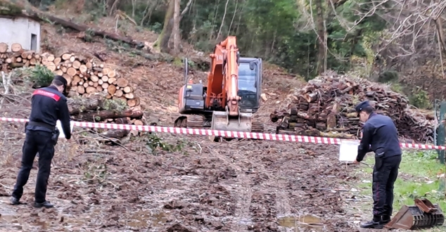 Esegue scavi e tagli nel bosco senza autorizzazione, denunciato a La Spezia