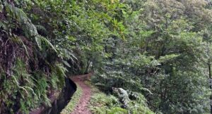 Madeira camminando lungo le levadas del Portogallo 3