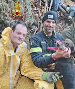 Genova soccorso cane a Marmassana 1