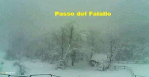 Neve 21-1-25 passo del Faiallo