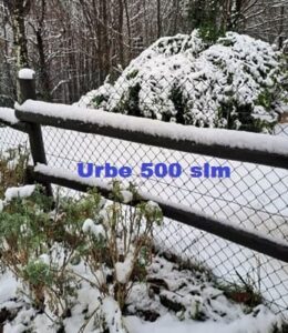 Urbe neve 21-1-25