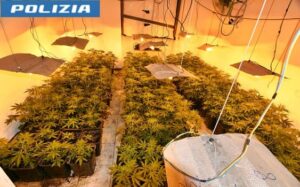 Alessandria Piantagione Cannabis in albergo in disuso 2