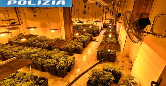 Alessandria scoperta grossa piantagione di cannabis in albergo in disuso