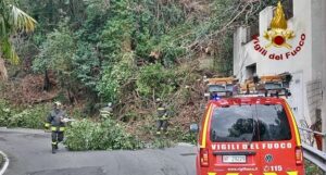 Genova intervento tronchi pericolosi 1