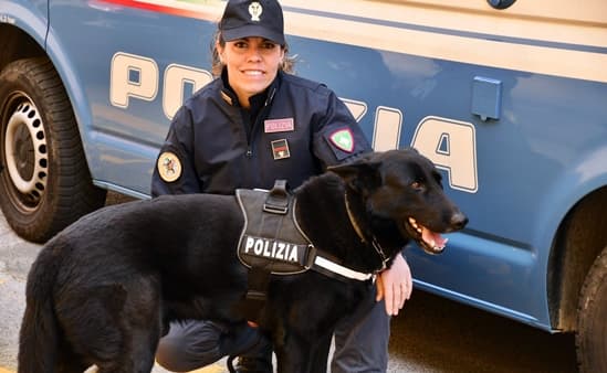 Controllo straordinario nel centro storico di Genova con sequestro droga