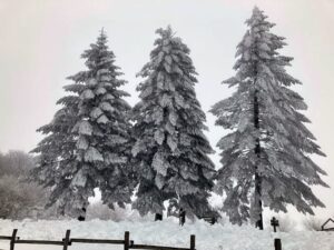 Neve sul Beigua 9-2-25 8