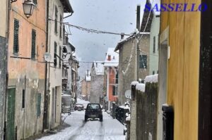 Sasselle neve 8-2-25 6