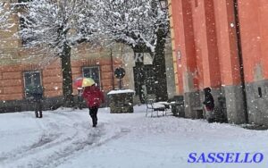 Sasselle neve 8-2-25 7